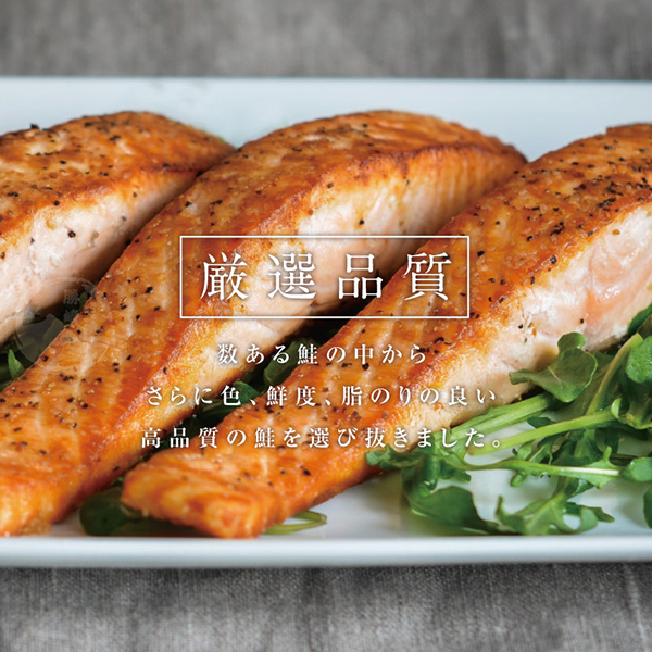鮮切鮭魚片10片組(100公克/1片)