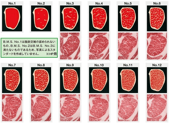 日本牛肉等級表